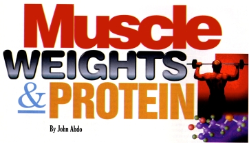 Muscle, Weights, Protein